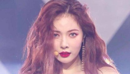 快乐养猪场游戏